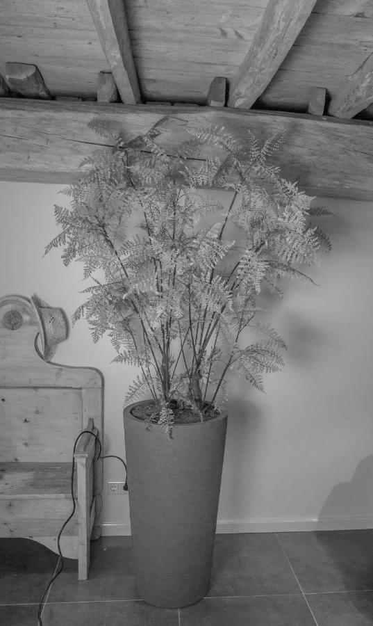 Bed and Breakfast Bed En Box 3610 Oirschot Exterior foto
